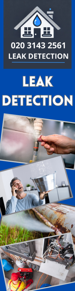 West Ewell Leak Detection
