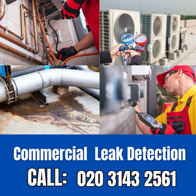 Commercial Leak Detection Services in West Ewell | West Ewell Leak Detection