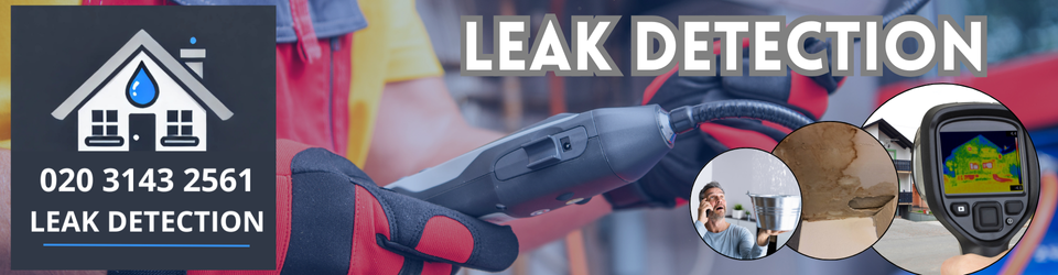 West Ewell Leak Detection
