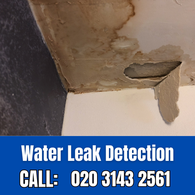 Expert Water Leak Detection Services in West Ewell | West Ewell Leak Detection